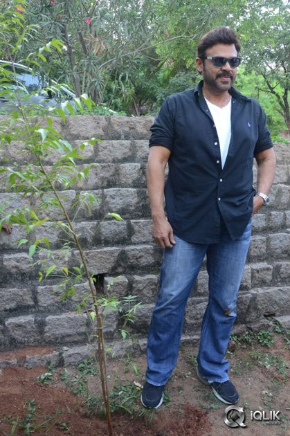 -Venkatesh-At-Haritha-Haaram-Event
